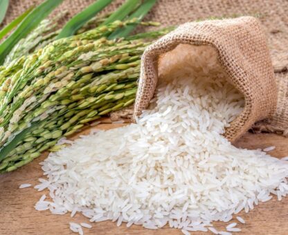 xr:d:DAFnrNYoTV4:49,j:478903562065469824,t:23071016